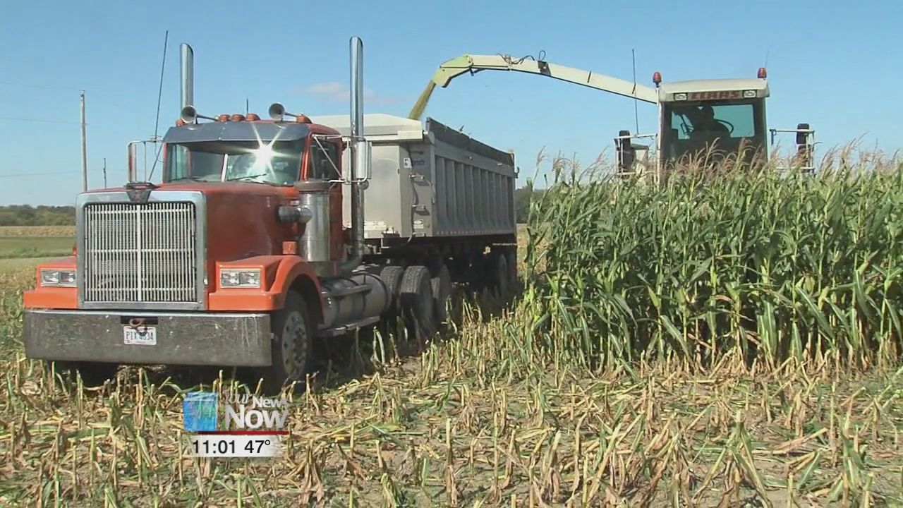 Ag-Link helps you reduce interest rates on your farming business loans
